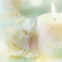 Roses Candle