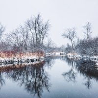 Snowy Winter Lake Reflection of Trees