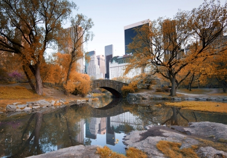 city bridge - fun, river, nature, city, cool, bridge