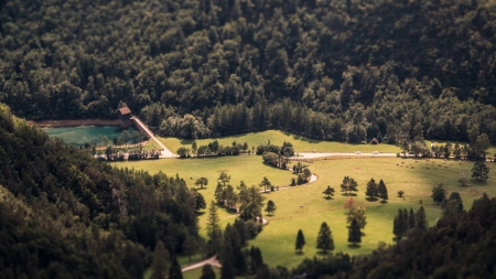 over a forest - nature, fun, forest, cool, field