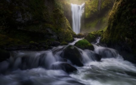 Waterfall - waterfall, rock, tree, nature