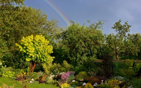 Park - Park, rainbow, nature, tree