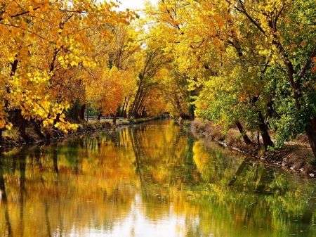 River - River, water, nature, autumn