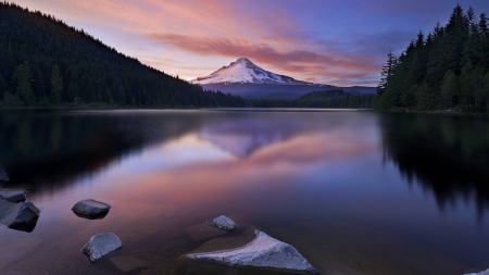 what a view - lake, forest, cool, fun, nature, mountain