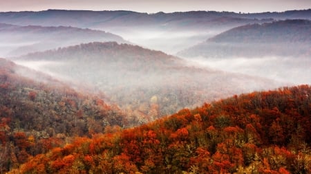 Brown Autumn Scenery - nature, brown, autumn, trees, forest, fog, mountains