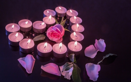 Still Life - petals, candles, leaves, flowers, still life, rose