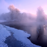 Lake fog