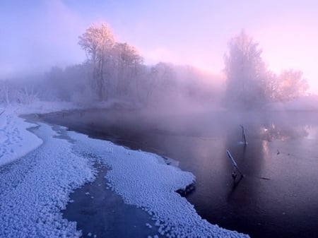 Lake fog - fog, winter, mist, snow