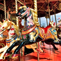 Carousel Dark Horse F