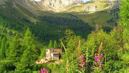 Amazing Cottage - greenery, cabin, grass, valley, mountain, nature, hotel, cottage, sky