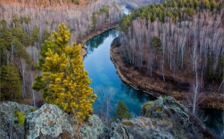 Forest Fall  - nature, autumn, fall, trees, forest, river, water, mountains