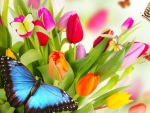 flowers and butterflies