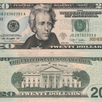 US $20 Dollar Billl