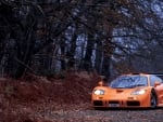 McLaren F1