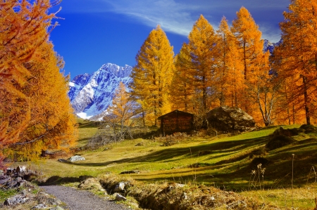 Autumn landscape - trees, cabin, landscape, forest, mountain, fall, wooden, autumn, cliffs, hut, foliage, sky