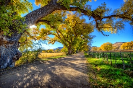 Autumn road - trees, beautiful, road, travel, grass, fall, autumn, field, sky