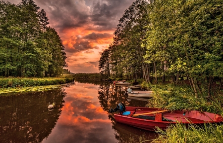 Boats on the River - River, Tree, Nature, Sky