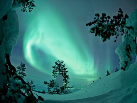 Aurora borealis - nature, borealis, light, winter, aurora