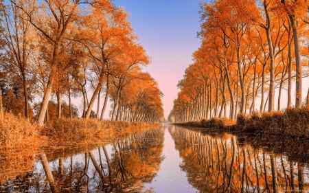 Autumn Reflection - river, trees, nature, autumn, lake, reflection