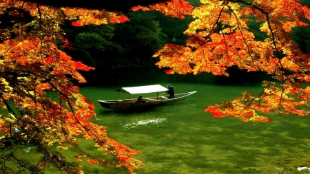 River Fall - fall, river, trees, nature, autumn, boat