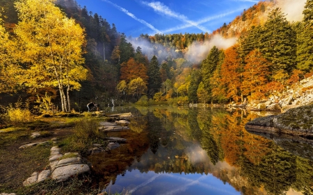 Mountain forest and lake in autumn - lake, mountain, trees, hills, serenity, ponbd, forest, reflection, tranquil, beautiful, colors