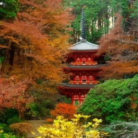 Autumn in Japan