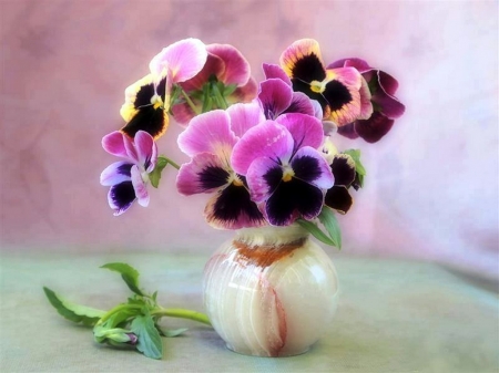 Pretty little pansies - flowers, vase, pansies, colors