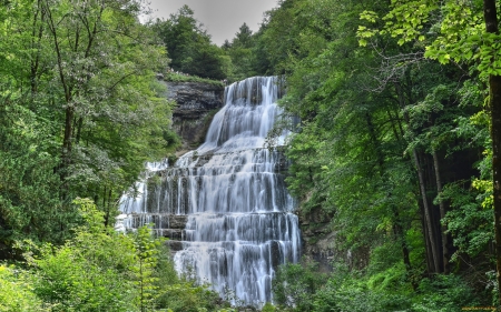 Fall Forest - fall, forest, waterfall, trees, nature, autumn