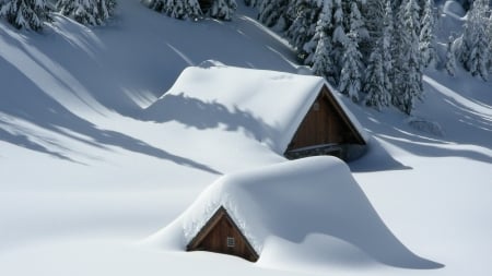 Snowy winter - winter, nature, house, snow