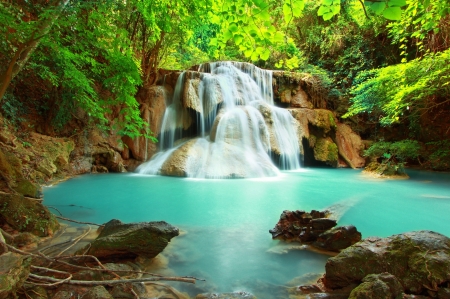 Waterfall - nature, tree, moss, waterfall