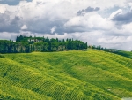 Scenic Panoramic View, Hilly Landscape