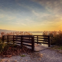 Bridge at Autumn Lake