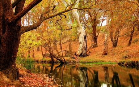 Autumn River - reflections, fall, trees, season, leaves