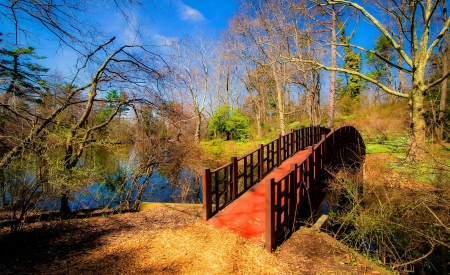 Bridge over the River - River, Autumn, Tree, Nature