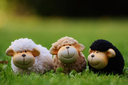 Three little Sheeps - figures, sheeps, cute, grass, deco