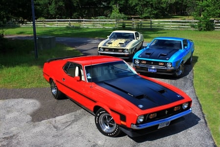 Tri Fecta - yellow, muscle, blue, red, classic