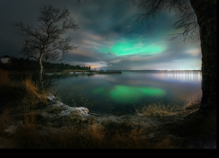 ♥ - lake, trees, nature, green