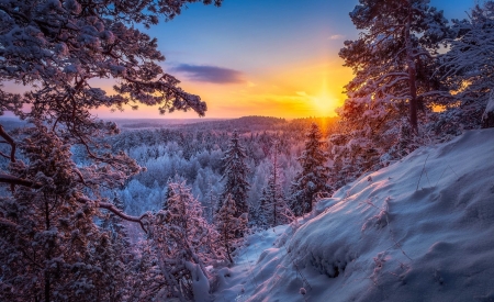 Morning tracks - trees, hills, winter, beautiful, snow, slope, sunrise, morning, forest, mountain, glow, view, frost, track, sky