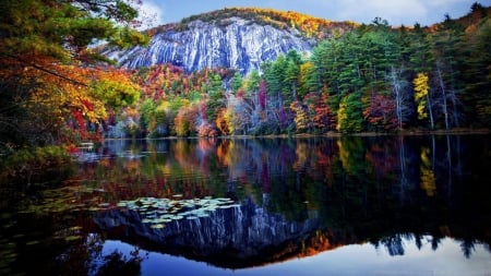 Autumn Lake Reflection - trees, nature, autumn, lake, forest, reflection, mountain, leaves