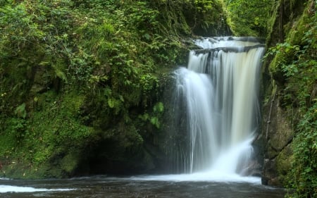 Gertelbach Waterfall, Germany - waterfall, forest, germany, nature