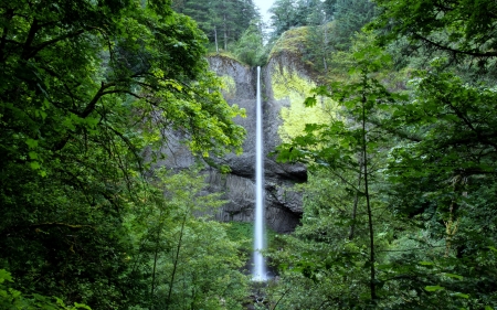 Latourell Falls, Oregon - waterfall, forest, usa, nature