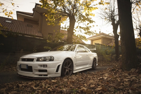 Nissan Skyline GTR - skyline, car, auto, gtr, nissan, tuner