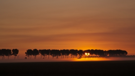 Splendor Of Our Planet - sunset, tree, amazing, sky