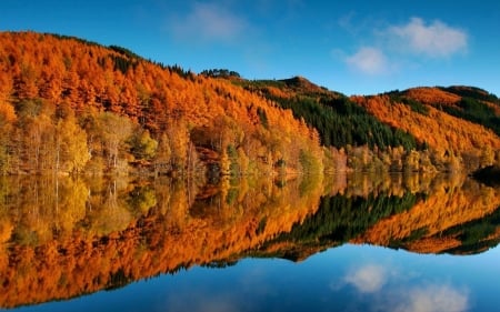 Autumn On The Lakeside - nature, autumn, lake, trees, reflection, forest