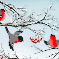 Frolicing Winter Finches