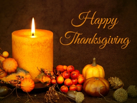 Happy Thanksgiving - candle, pumpkin, thanksgiving, still life, pinecones, gourds, flame, pine cones, happy thanksgiving