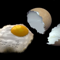 Ready-fried Egg