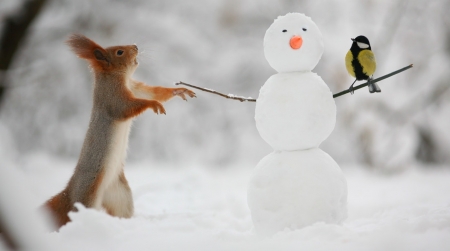 ♥ - birds, snowman, animal, winter, cold