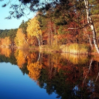 Autumn Trees on Lake