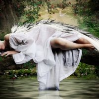 Angel in the Forest